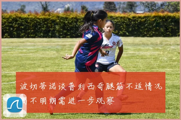 波切蒂诺谈普利西奇腿筋不适情况尚不明朗需进一步观察