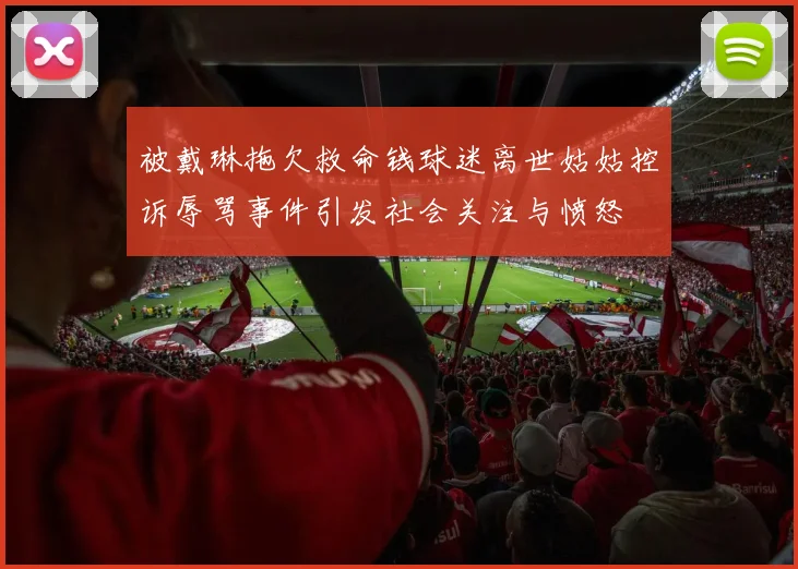 被戴琳拖欠救命钱球迷离世姑姑控诉辱骂事件引发社会关注与愤怒