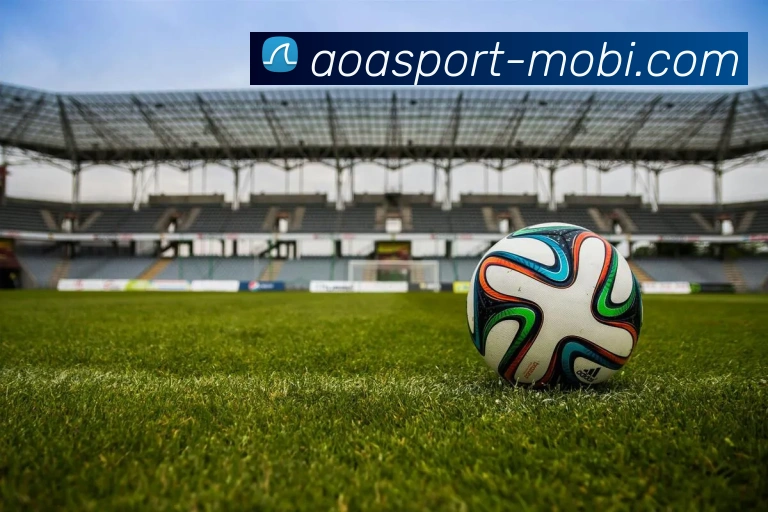 AOA体育平台生态图